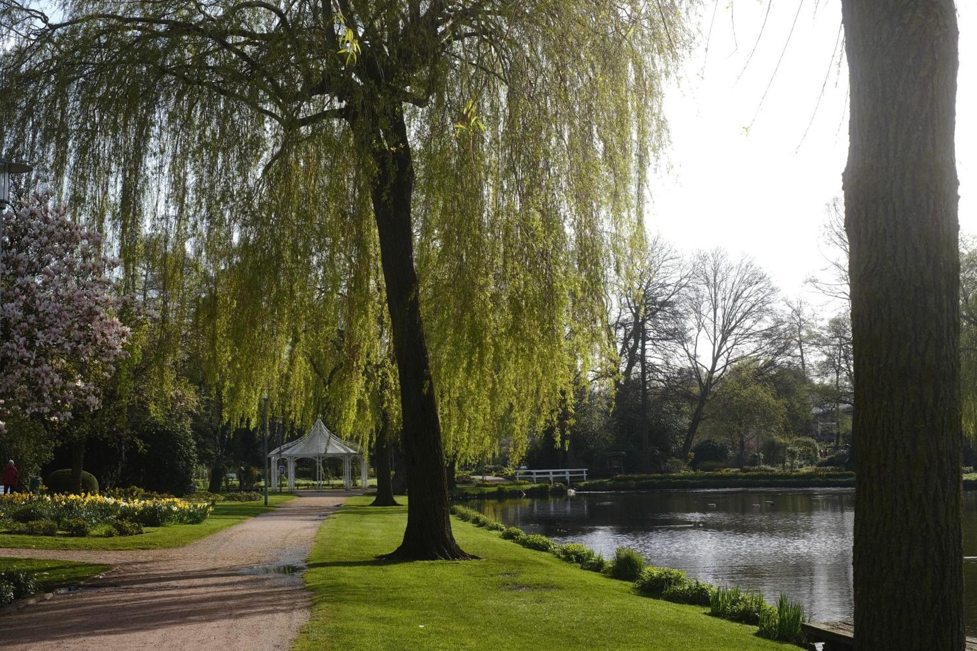 Parkhotel - Rosarium